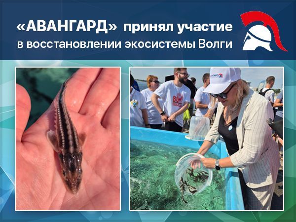 Охрана природы — в приоритете: «Авангард» участвует в экологических проектах